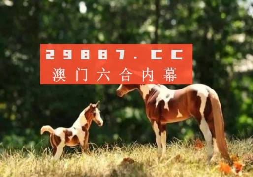 Uc澳門(mén)六開(kāi)獎(jiǎng)記錄最快，探索與解析，Uc澳門(mén)六開(kāi)獎(jiǎng)記錄最新探索與解析