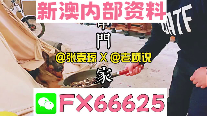新澳門精準(zhǔn)資料大全與管家婆料，探索與解析，澳門精準(zhǔn)資料大全與管家婆料，深度探索與解析