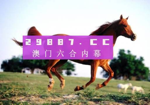 澳門一肖一碼一必開一肖，探索背后的神秘與魅力，澳門一肖一碼背后的神秘魅力探索