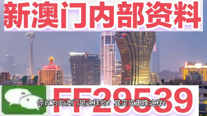 新澳2025今晚開獎資料詳解，新澳2025今晚開獎資料全面解析