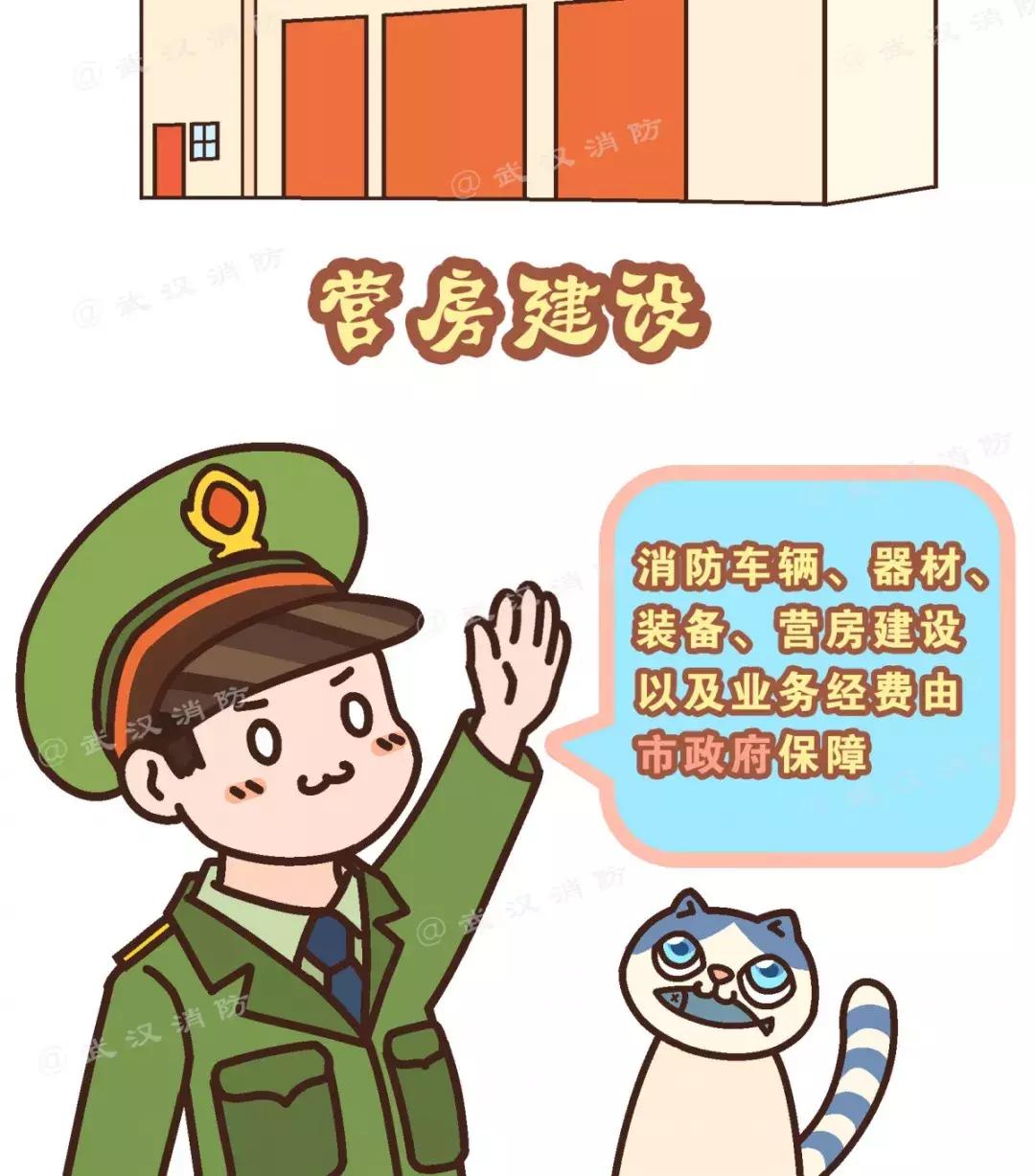 中國(guó)武警部隊(duì)的編制屬性，深度解析與探討，中國(guó)武警部隊(duì)編制屬性深度解析與探討