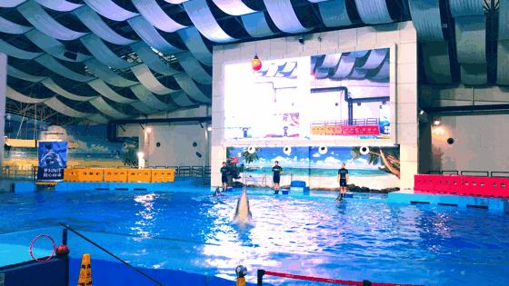 漢海海洋公園門票票價詳解，漢海海洋公園門票價格全面解析