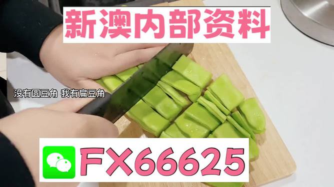 新澳精準(zhǔn)資料免費(fèi)提供的價(jià)值與影響力，新澳精準(zhǔn)資料免費(fèi)提供的價(jià)值及其影響力