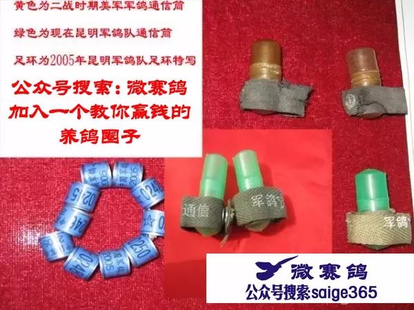 模環(huán)要稿解參多器黃——技術(shù)領(lǐng)域的深度解析，模環(huán)要稿解參多器黃技術(shù)深度解析
