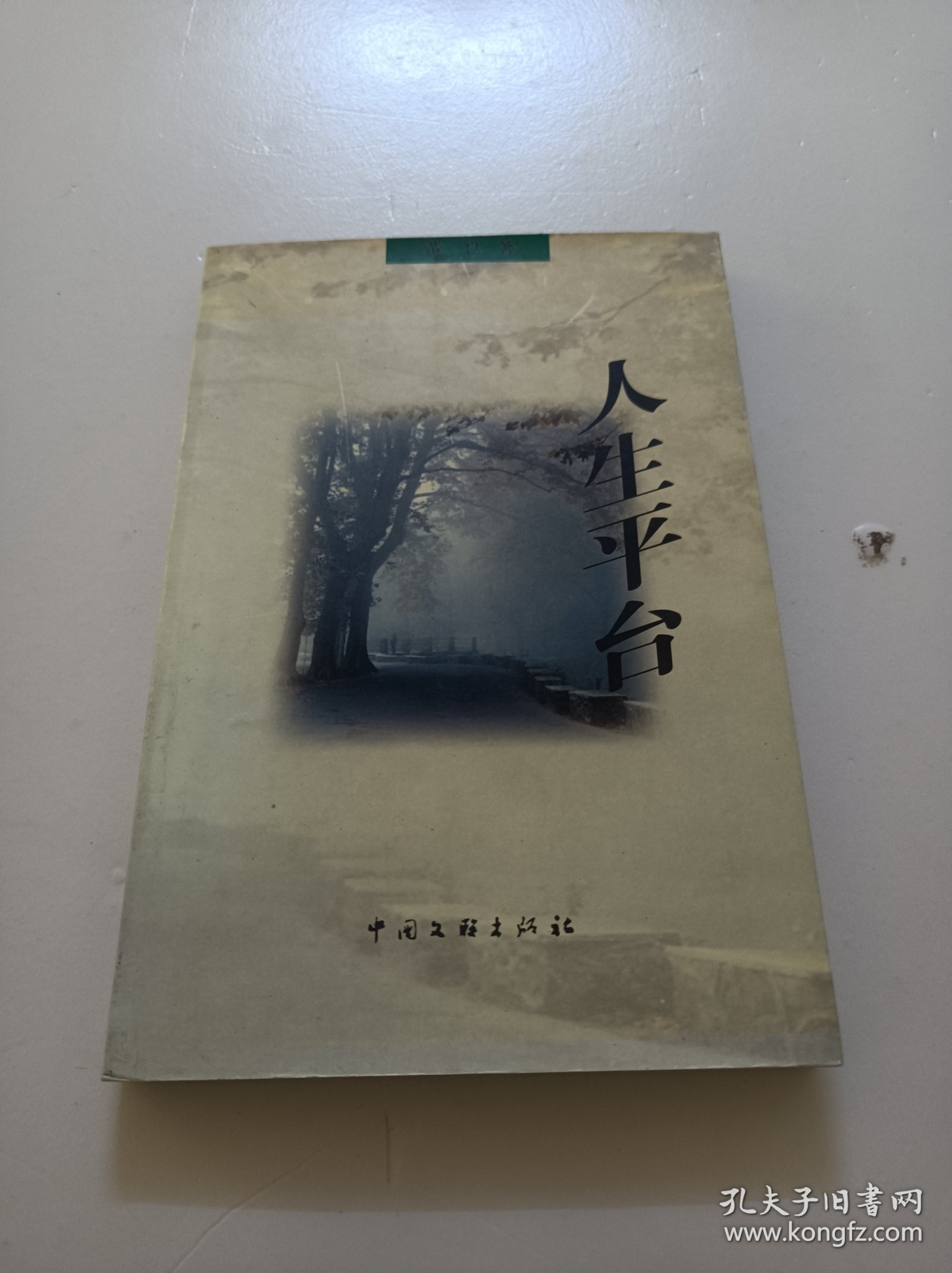 險新臺人生的境，探索人生的曲折與機遇，人生的曲折與機遇，探索新臺人生之境