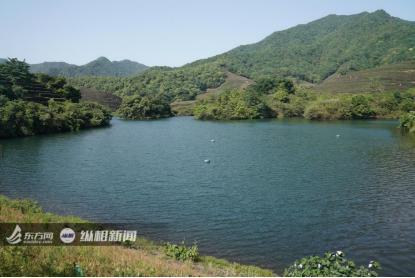 新伍巡對(duì)三，探索、挑戰(zhàn)與未來(lái)的展望，新伍巡對(duì)三，探索挑戰(zhàn)與未來(lái)展望
