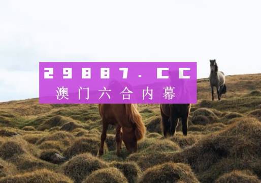 澳門最新最快開獎(jiǎng)記錄，探索與解析，澳門最新開獎(jiǎng)記錄探索與解析