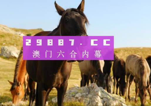 澳門一肖一碼必中一碼管家婆，揭秘與探索，澳門一肖一碼揭秘與探索，必中一碼管家婆