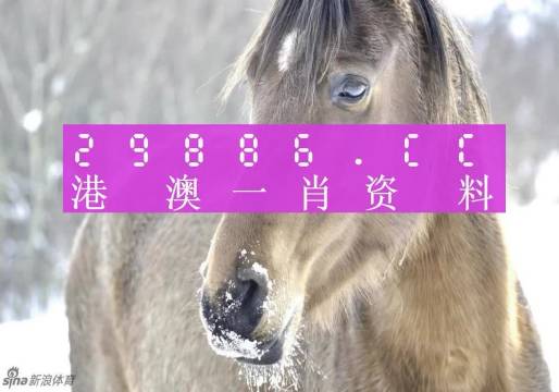 澳碼精準(zhǔn)預(yù)測，揭秘最準(zhǔn)確的一肖一碼彩票秘訣，澳碼精準(zhǔn)預(yù)測揭秘彩票秘訣，一肖一碼最準(zhǔn)確預(yù)測技巧