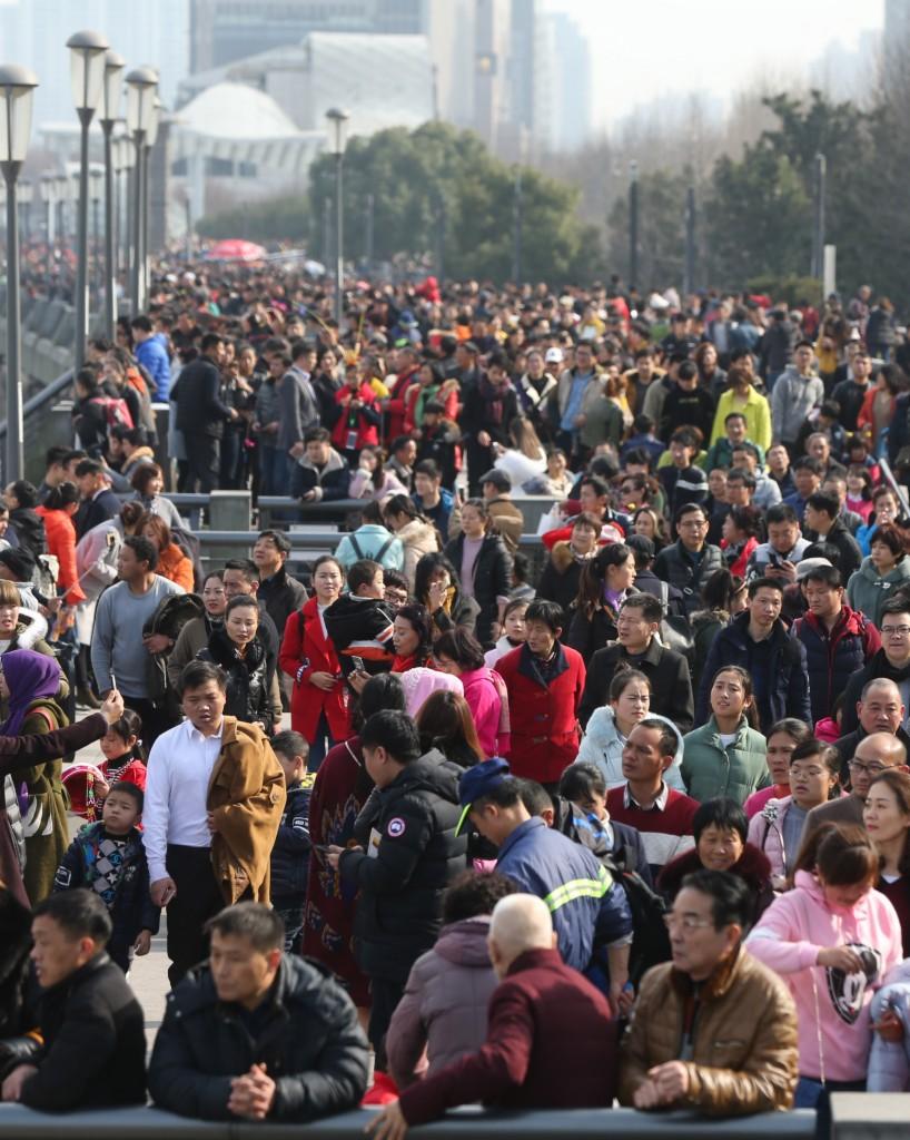 上海郊區(qū)景點大全排名榜，探尋都市中的自然與人文魅力，「上海郊區(qū)景點排名榜，探尋都市中的自然與人文風(fēng)情」