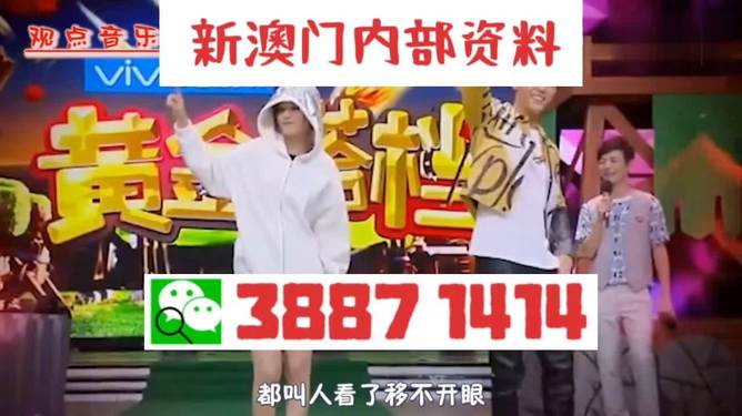 澳門一碼一肖一待一中四不，探索與解析，澳門一碼一肖一待一中四解析與探索