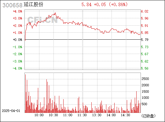 延江股份（300658）股吧深度解析，延江股份（300658）股吧全面解析報告
