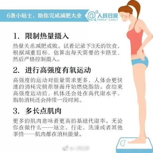 如何正確減肥，構(gòu)建健康生活的藍(lán)圖，構(gòu)建健康生活藍(lán)圖，正確減肥指南
