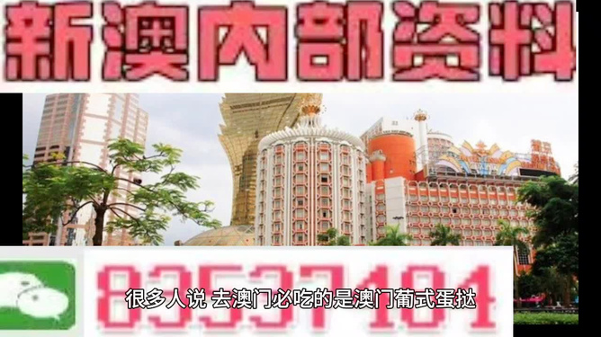 澳門精準(zhǔn)的資料大全，探索與解讀，澳門精準(zhǔn)資料大全，深度探索與解讀