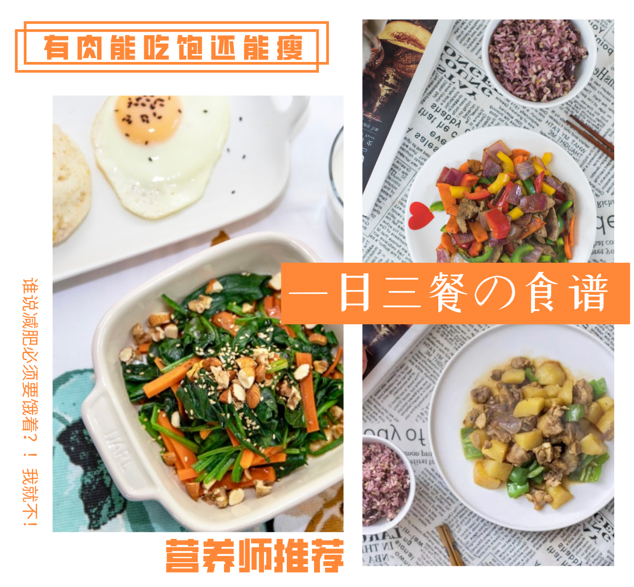 健康減肥食譜，一日三餐的科學搭配，健康減肥食譜，一日三餐科學搭配指南