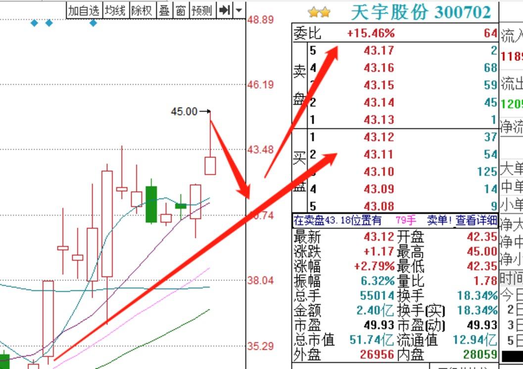 股票研究，聚焦在股票002916的獨特視角，股票研究，聚焦股票002916的獨特視角分析