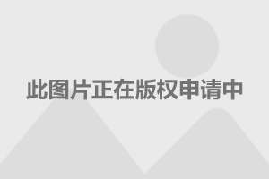 張柏芝與謝霆鋒的關(guān)系，愛情、婚姻與人生的交織，張柏芝與謝霆鋒關(guān)系，愛情、婚姻與人生的復雜交織