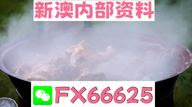 新澳全年免費資料大全，探索與收獲，新澳全年免費資料大全，探索之旅與收獲的時刻