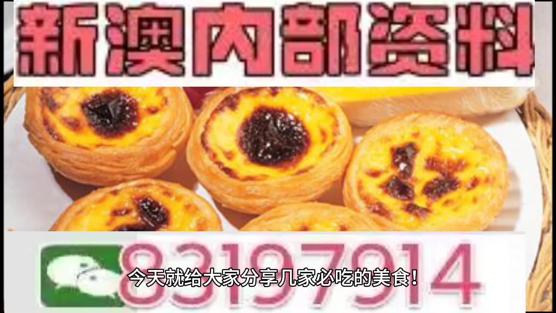 新澳門一肖一碼中特的探索與解讀，澳門一肖一碼中特，解讀與探索