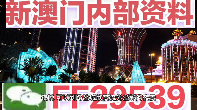 澳門今晚必開一肖一特，探索幸運背后的秘密，澳門今晚必開一肖一特，揭開幸運背后的秘密之旅