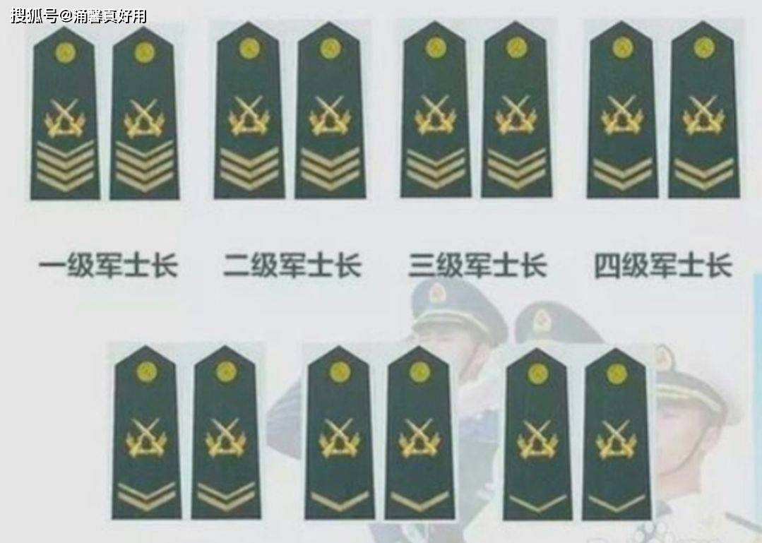 七級士官軍銜，榮譽(yù)與責(zé)任的象征，七級士官軍銜，榮譽(yù)與責(zé)任的標(biāo)志