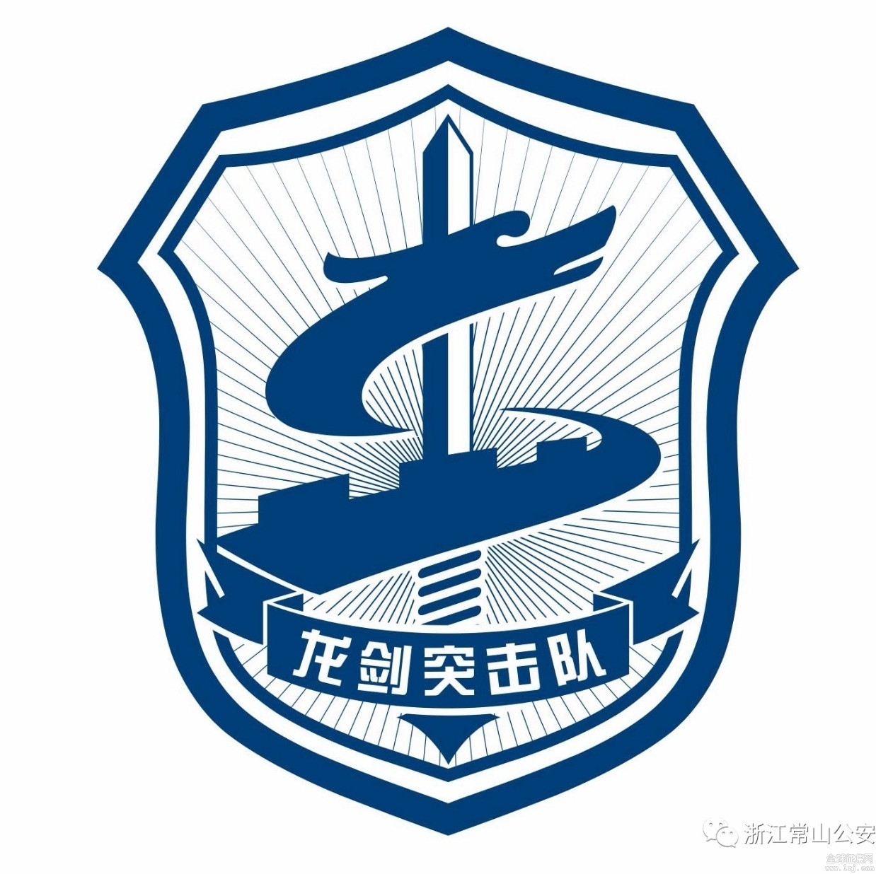 揭秘蛟龍突擊隊(duì)隊(duì)標(biāo)，榮耀與使命的象征，揭秘蛟龍突擊隊(duì)隊(duì)標(biāo)，榮耀與使命的象征探秘