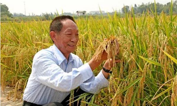 共和國勛章獲得者可以享受的待遇，共和國勛章獲得者享有的待遇，國家級榮譽(yù)的最高禮贊